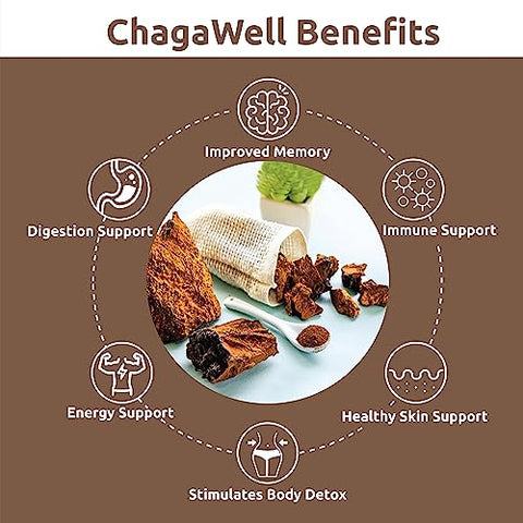 DR WELLME NUTRITION - ChagaWell™ 500mg Cápsulas de Cogumelo Chaga – Foco, Clareza Mental, Reforço Imunológico para Homens e Mulheres, Não-OGM