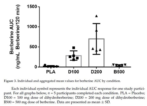 Nature's Fusions - Dihydroberberine 200mg 60 Cápsulas – Com Canela do Ceilão – 5X Mais Eficaz Que Berberina HCL Regular – Super Berberina com Canela do Ceilão – Dihydroberberine