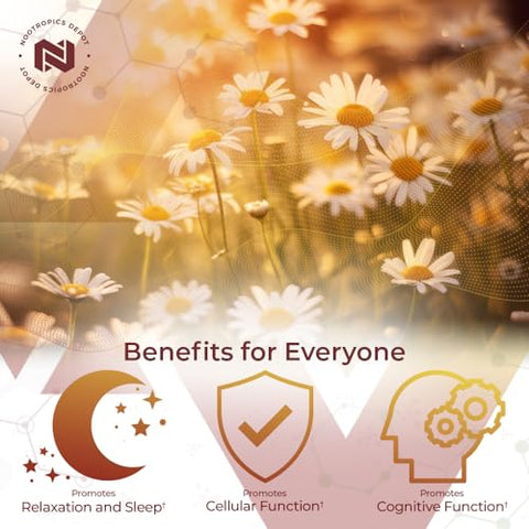 Cápsulas de Apigenina | 200mg | 120 Unidades | >98%% Apigenina | Suporta Níveis Saudáveis de Estresse - Nootropics Depot