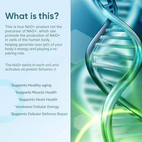 solodate lab - NAD Suplemento 1000mg, True NAD – Aumente sua energia e vitalidade com o melhor suplemento de NAD disponível – 60 cápsulas