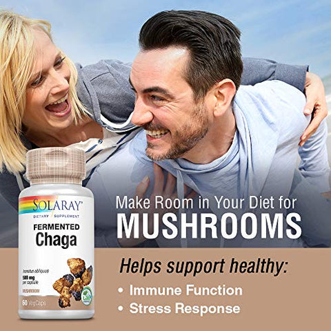SOLARAY - Solaray Chaga Mushroom Fermentado 500 mg | Suporte à Função Imunológica Saudável | 30 Porções | 60 VegCaps