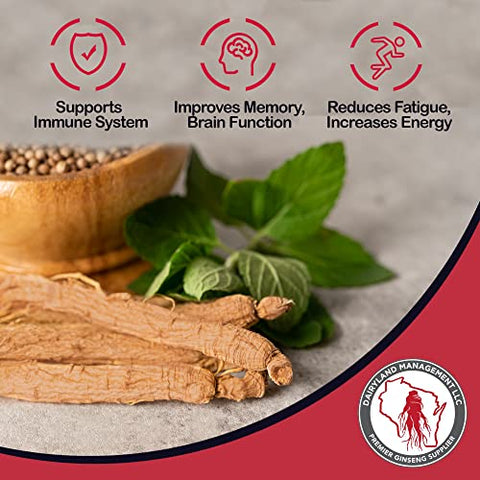 Dairyland Management LLC - Red Panax Ginseng Slices – 113g Pack Korean Panax Ginseng Slices – Sem GMO, Sem Glúten Fatias de Raiz de Ginseng Vermelho – Use Este Suplemento Herbal em Sopa, Chá, Mingau
