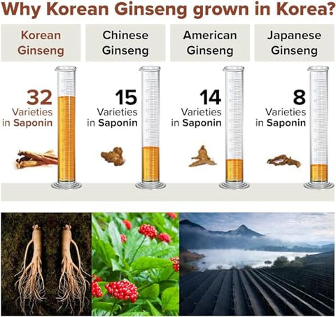 BTGIN - Cápsulas de Ginseng Vermelho Coreano, Suplemento Natural de Energia – Raiz Original Enriquecida com Ginsenosídeos Rg3 Puro – Suplemento Premium de Ginseng