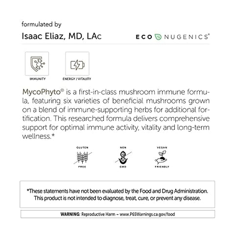 MycoPhyto Complexo de Cogumelos em Pó 120g – Suporte ao Sistema Imunológico – Cardio, Fígado - EcoNugenics