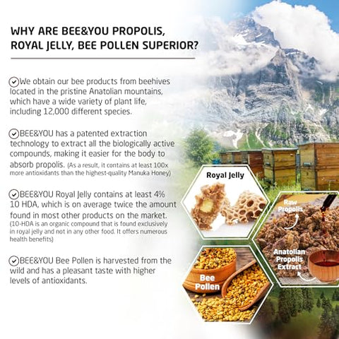 BEE & YOU - Bee and You – Comprimido de Geleia Real, Extrato de Própolis, Pólen de Abelha, Superfood 100% Natural, Ultra Puro, Suporte Imunológico, Melhora Energia, Concentração, Antioxidantes, Fresco, Keto, 100g