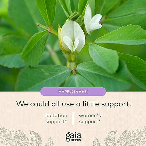 Lactation Support – Suporte à Produção Saudável de Leite em Mães Lactantes* – Feno-grego e Semente de Funcho – 60 Cápsulas Líquidas Veganas Fitoterápicas (20 Dias de Suprimento) - Gaia Herbs