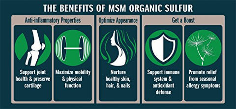 No Boundaries Health and Wellness MSM Organic Sulfur - Cristais de Enxofre Orgânico MSM da No Boundaries Health and Wellness – Suplemento de Saúde Premium 99,9% Puro MSM – Benefícios: Dor nas Articulações, Alergias, Pele, Cabelo