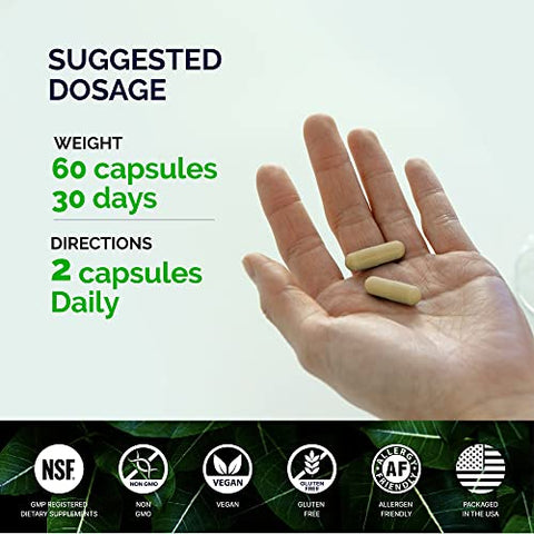 KORESELECT - Cápsulas de Ginseng Americano – 1000 mg de Extrato de Ginseng Americano para Pré-Treino e Energia