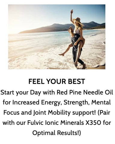 Óleo de Agulhas de Pinheiro Vermelho Selvagem Optimally Organic – Gotas Diárias para Suporte Imunológico Extremo – Extrato Vivo Bioativo – 1290 Gotas – 3 a 7 Gotas por Dose – Microbioma Vegano