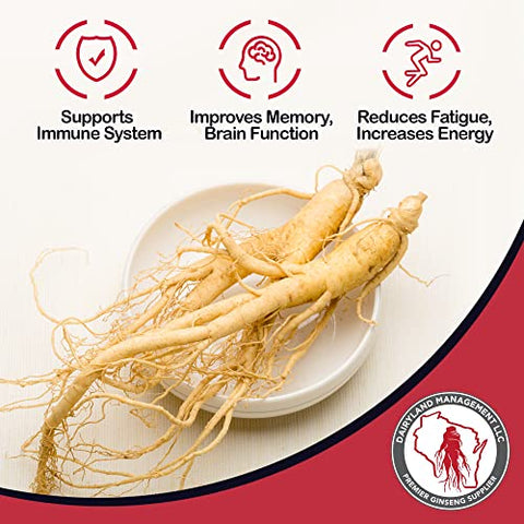 Dairyland Management LLC - Raízes de Ginseng Americano Dairyland – Embalagem de 4 oz de Raiz de Ginseng do Wisconsin – Ginseng Integral Livre de OGM e Glúten – Use Este Suplemento Herbal em Sopa, Chá, Mingau – Dairyland Ginseng Americano