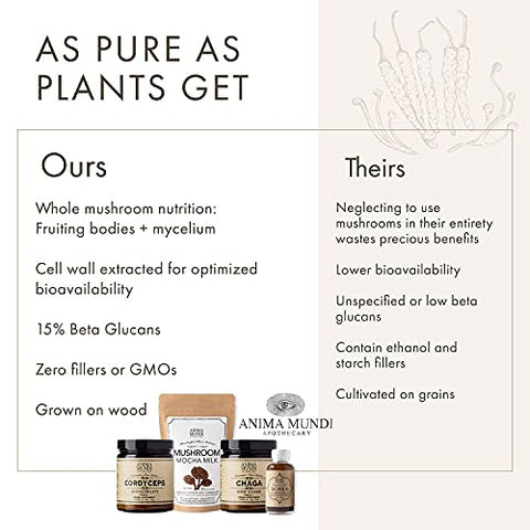 Anima Mundi Apothecary - Anima Mundi Pó de Cogumelo Chaga Orgânico – Suporte ao Sistema Imunológico com Extrato de Chaga Orgânico – Ideal para Chá, Café e Mais – Anima