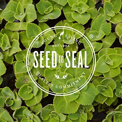ComforTone – Suporte Digestivo Natural com Ervas e Óleos Essenciais – 150 Cápsulas, Combinação de Cascara Sagrada, Semente de Psyllium e Gengibre - Young Living