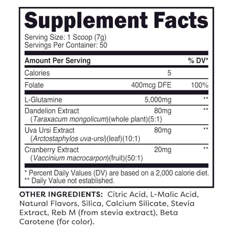 Wellah - L-Glutamina Pêssego Manga (50 Porções) – 5g de L-Glutamina por Porção, Adoçado com Stevia