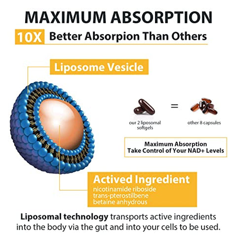 Orgabay - Liposomal Nicotinamida Ribosídeo 2000 MG com TMG e Pterostilbeno, Aumentando o NAD, Apoio ao Envelhecimento Saudável, 120 Comprimidos
