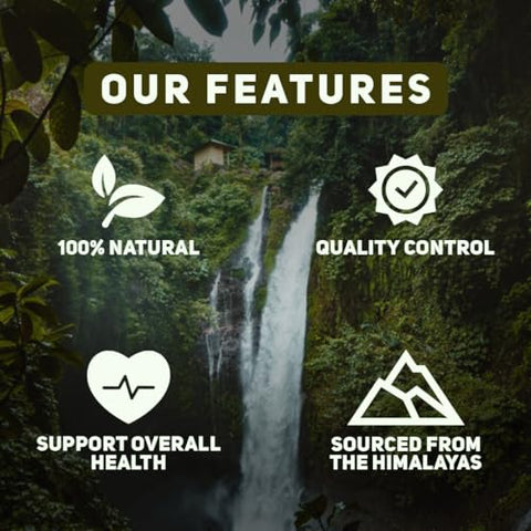 Chuga Shilajit - Chuga Pure Himalayan Shilajit para Homens – Energia Natural e Vitalidade | 30g
