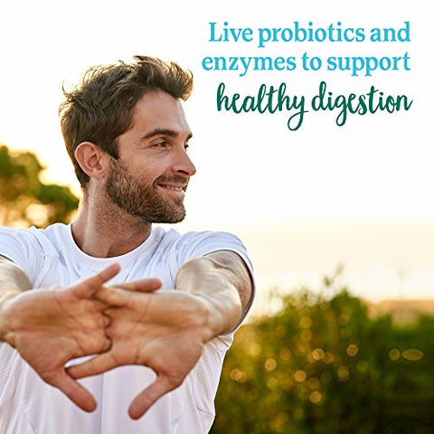 Pó Alimentar de Vegetais Integrais Perfect Food Green Superfood, 4,93 Ounce (139,6 g) - Garden of Life