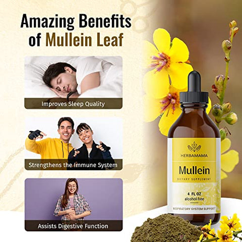 HERBAMAMA - Tintura de Folha de Verbascum – Limpeza Pulmonar – Gotas Veganas de Verbascum – Desintoxicação Pulmonar – Suporte Respiratório e Imunológico – Extrato Líquido de Suplemento Natural 120 ml