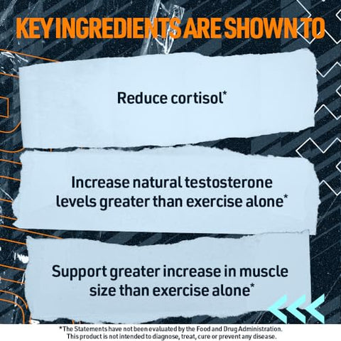 Status – Impulsionador de Testosterona para Homens – c/ KSM 66 Ashwagandha – Aumente a Resistência, Crescimento Muscular - Blue Star Nutraceuticals