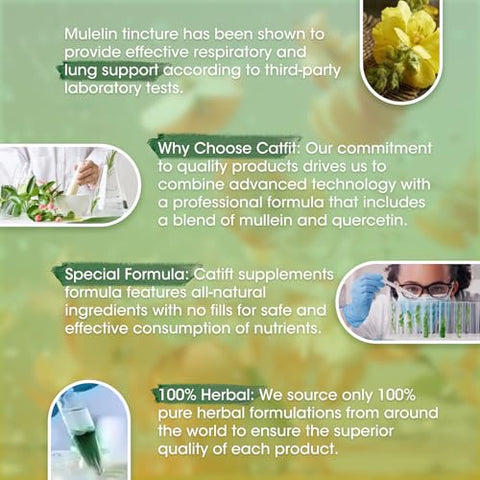 Catfit - Gotas de Mullein para os Pulmões – Extrato Líquido de Folha de Mullein – Limpeza Pulmonar para Fumantes – Poderosa Tintura de Mullein para Suporte à Saúde Imunológica, Respiratória e da Pele – Maçã