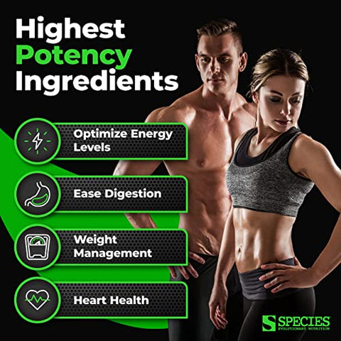 Fiberlyze – Suplemento de Fibra à Base de Psyllium, Solúvel em Água – 100g - Species Nutrition