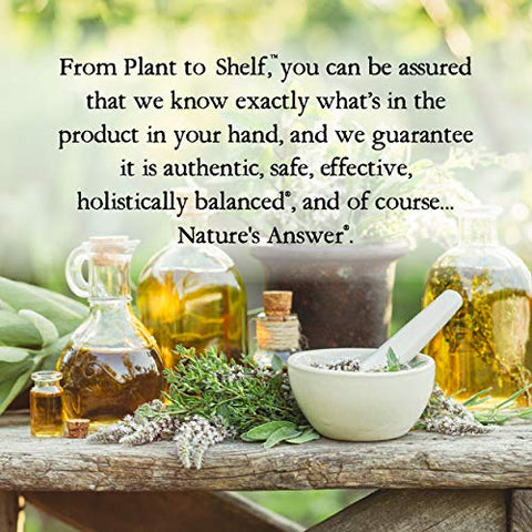 Nature's Answer - Nature’s Answer Raiz de Elecampane 60 ml. Baixo Teor de Álcool Orgânico 2000mg – Herbal – Não GMO