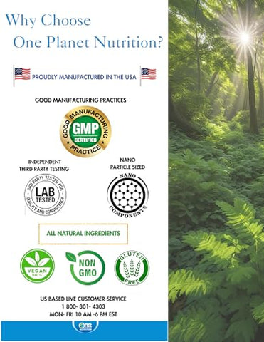 One Planet Nutrition - Nano Curcumin 500 mg Cápsulas Vegetais (60 Porções), Nano para Alta Absorção, Suporte Anti-Inflamatório