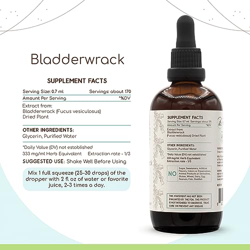 HerbEra - Bladderwrack B120 Extrato Herbal Sem Álcool, Tintura Concentrada em Gotas Líquidas Naturais de Bladderwrack (Fucus Vesiculosus) Planta Seca (120 ml)