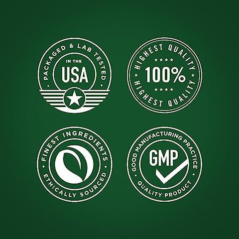 Cápsulas de Creatina Alemã 1000mg | 300 Unidades | Suplemento Fitness Monohidratado | Livre de Transgênicos, Sem Glúten - Fitness Labs