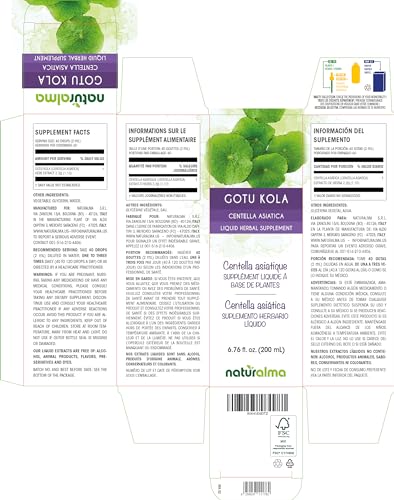 Gotu Kola Naturalma – Tintura sem álcool de Centella asiatica – Extrato líquido em gotas 200 ml – Herbal Vegan