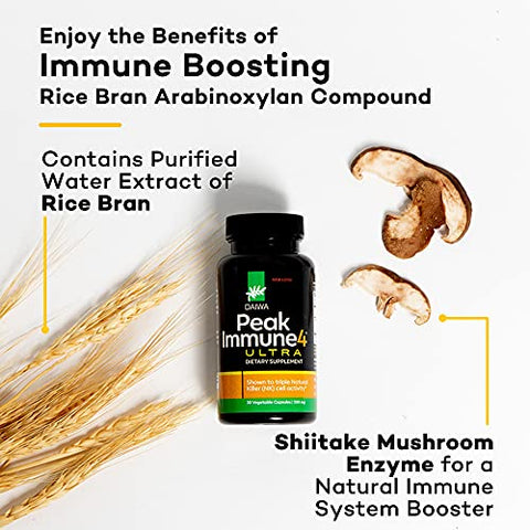 Daiwa Health Development - Daiwa PeakImmune4 – Suplemento Natural de Suporte Imunológico com Extrato de Farelo de Arroz RBAC e Micélio de Cogumelos Shiitake – Ultra Força
