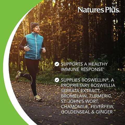 Natures Plus - NaturesPlus Herbal Actives InflamActin – 60 Cápsulas Vegetarianas – Suplemento Herbal com Cúrcuma – Marca NaturesPlus