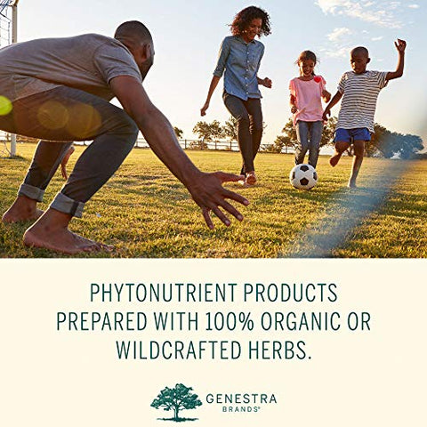 Curcumin Complex | Suplemento de Curcumina e Pimenta Preta | 60 Cápsulas - Genestra Brands