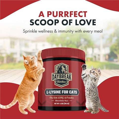 Daybreak Nutrition - L-Lisina para Gatos e Gatinhos – 900 mg Pó de L Lisina para Gatos para Imunidade | Marca: [Nome da Marca]