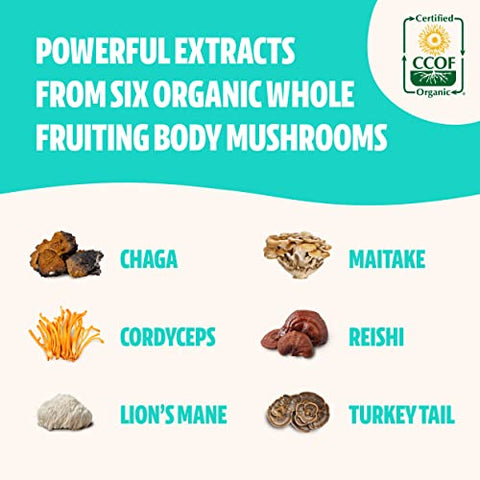 FreshCap Mushrooms - FreshCap Ultimate Mushroom Complex – Ayurveda Lions Mane, Reishi, Cordyceps, Chaga, Turkey Tail, Maitake – Suporte Imunológico, Suplemento Cerebral Nootrópico para Imunidade, Energia – Marca FreshCap