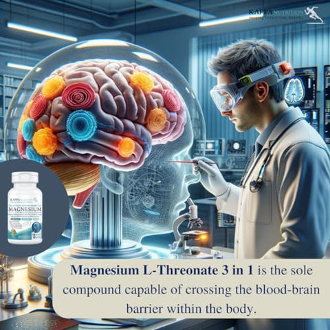 KAPPA NUTRITION - Kappa Nutrition: Magnésio Elemental 420mg, 2.253mg por Porção, 120 Cápsulas