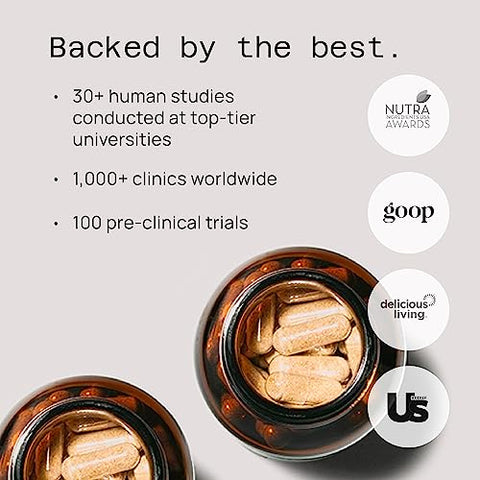 Premium AHCC – Suplemento de Suporte Imunológico de Alta Qualidade – AHCC de Maior Bioavalibilidade – Extrato Natural de Cogumelo – Quality of Life AHCC Kinoko Rx