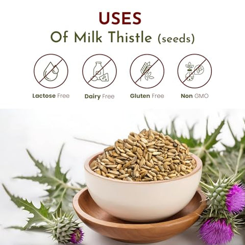 Organic Way - Sementes de Cardo Mariano Orgânico (Silybum marianum) – Colheita Selvagem Europeia, Orgânico