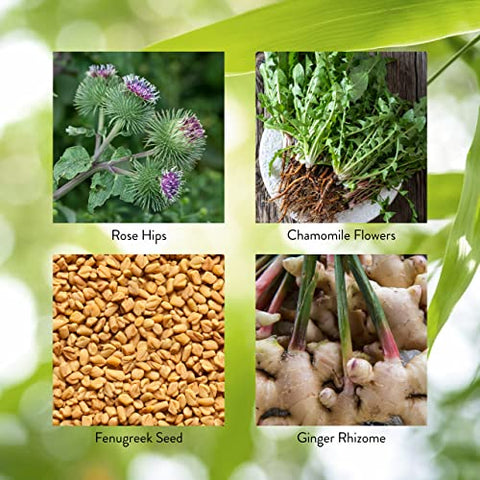 Nature's Sunshine - Nature’s Sunshine Enviro-Detox | 100 Cápsulas | Remove Poluentes e Toxinas, Estimula a Digestão | Suporte para Limpeza Normal | Marca: Nature’s Sunshine