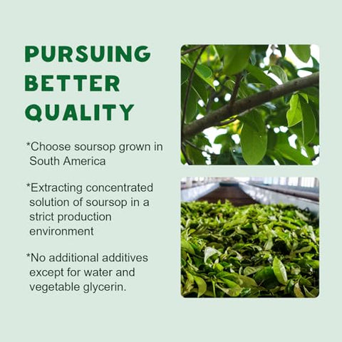 LUCNVEM - Graviola Líquido 2000mg – 2 Frascos, Antioxidante Natural, Suporte Celular