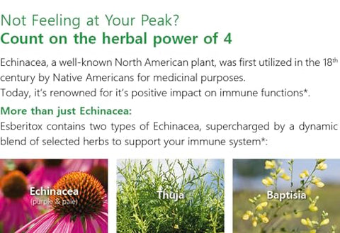 ESBERITOX - Supercharged Echinacea – Suporte Imunológico – Suplementos Herbais – Raiz de Indigo Selvagem – Flor-de-cone Roxa – Fabricado na Alemanha – 200 Comprimidos