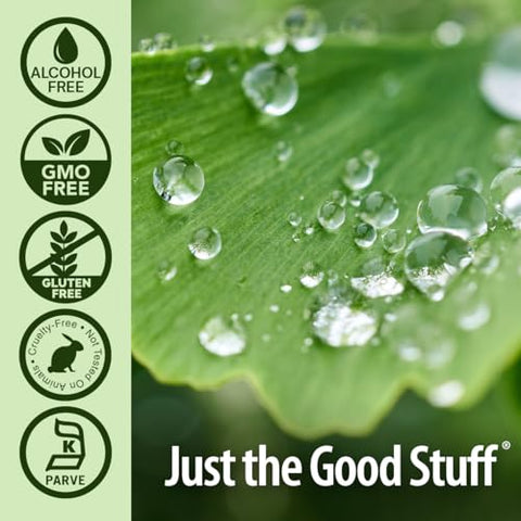 Nature's Answer - Nature’s Answer Extrato de Folha de Ginkgo Biloba Sem Álcool, 60 ml, 2 Unidades | Suporte para um Cérebro Saudável | Promove a Função Cognitiva | Aumenta a Clareza Mental | Auxílio Natural para Concentração