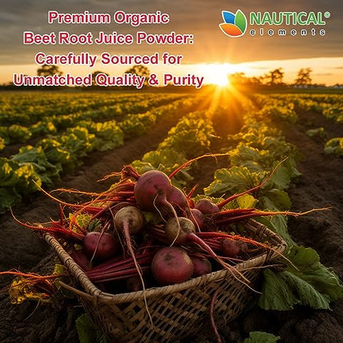 Nautical Elements - Suco de Beterraba em Pó Orgânico – Extraído a Frio – Concentrado 20:1 – Pó Concentrado de Raiz de Beterraba – Óxido Nítrico – Suporte à Circulação – 57 Porções de Suplemento de Raiz de Beterraba – 200g