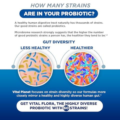 Vital Flora Mulheres Acima de 55 Probiótico Diário 60 Bilhões UFC, 60 Cepas Diversas, 7 Prebióticos Orgânicos, Suporte Imunológico Probióticos para Saúde Digestiva Estável – Marca Vital Planet - Vital Planet