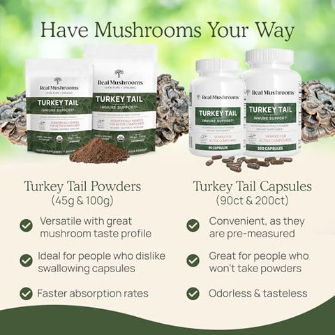 Pó de Cogumelo do Peru Real Mushrooms – Suplemento Orgânico de Cogumelo com Extrato Potente de Cogumelo do Peru para Intestino, Energia, Cérebro – 100g