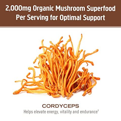 OM - Om Organic Mushroom Superfood Powder Cordyceps 100 Porções Energia e Resistência 200g