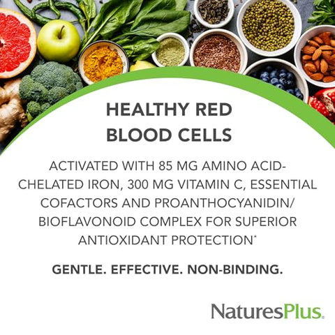 Natures Plus - NaturesPlus Hema-Plex Iron – 30 Comprimidos de Liberação Lenta, Embalagem com 2 – Saúde Total do Sangue – 85 mg Ferro Quelado – com Vitamina C