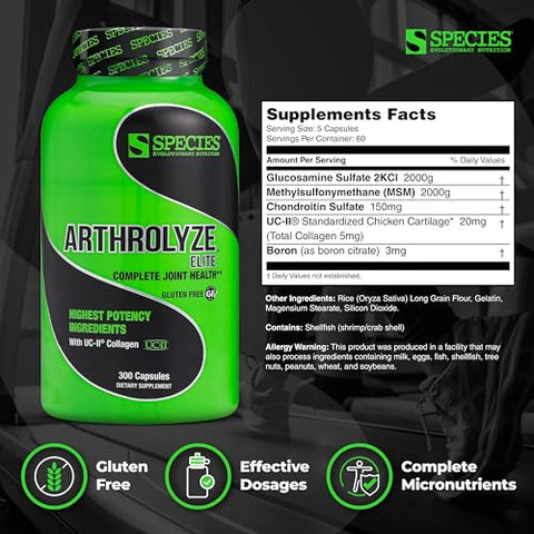 Arthrolyze – Suplemento para Reparo de Articulações, Fortificado com Colágeno UC-II, MSM, Glucosamina, Condroitina, Alta Potência para Tecido Conjuntivo - Species Nutrition