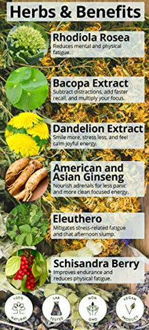 Pílulas Naturais de Energia – Sem Cafeína – Energia, Metabolismo, Poder Mental – 7 Ervas - Happy Healthy Hippie