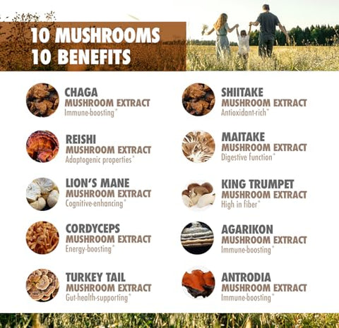 Suplemento de 10 Cogumelos para Clareza Mental e Foco – 60 Cápsulas - DR. EMIL NUTRITION