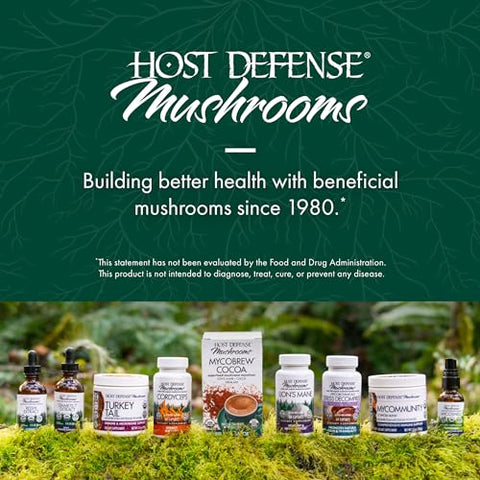 Chaga em Pó – Suporte ao Sistema Imunológico – Pó de Cogumelo Chaga para Atividade Antioxidante – Suplemento Alimentar – 100g (66 Porções) - Host Defense